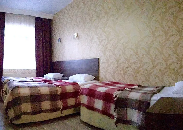 Fatih Erciyes Istanbul